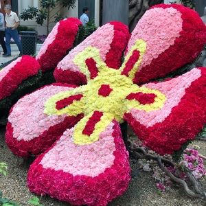 Meet your Posher, Claudia